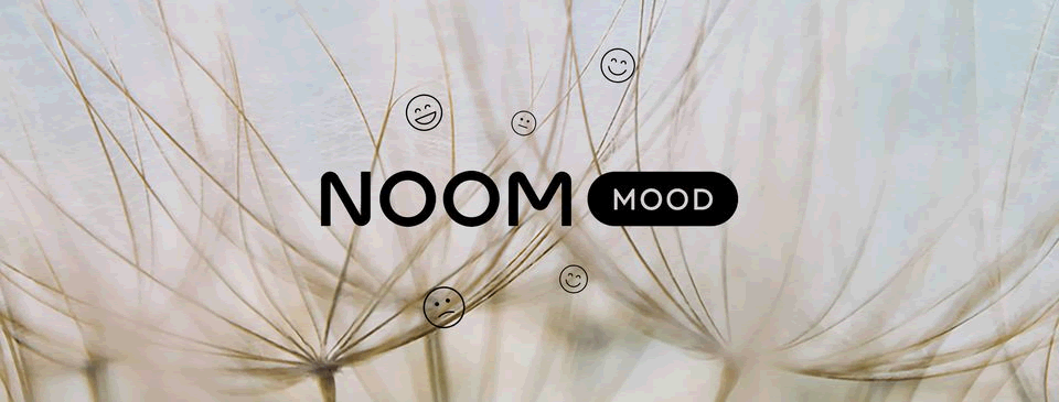 Noom Diet App