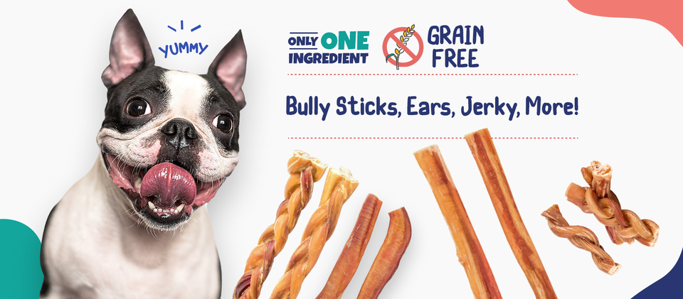 Bully Sticks Central Cover