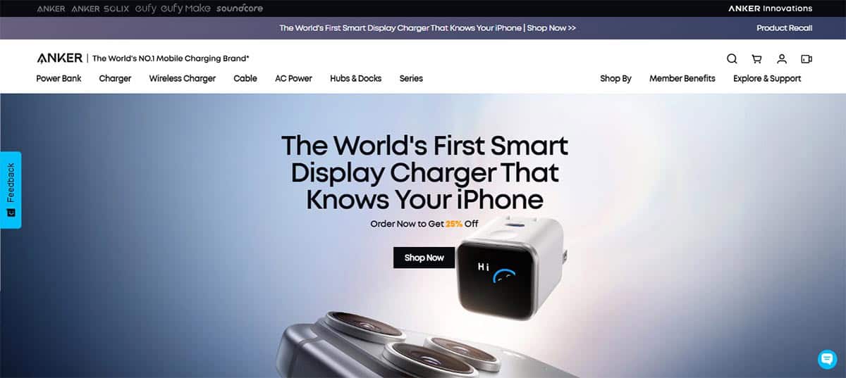 Anker review cover image